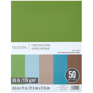 Recollections Earth 8.5 x 11 Cardstock Paper CARD310 – Good's Store Online